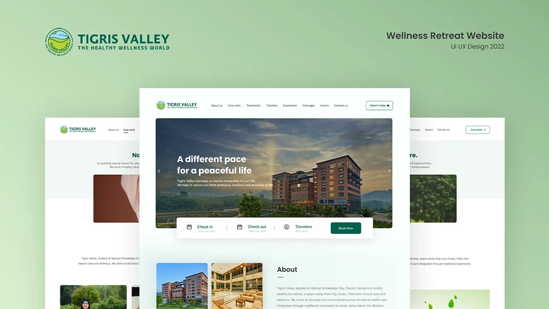 Tigris Valley Website Design